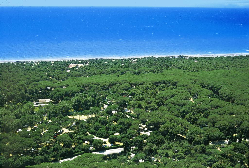Camping Village Le Esperidi Marina Di Bibbona Extérieur photo