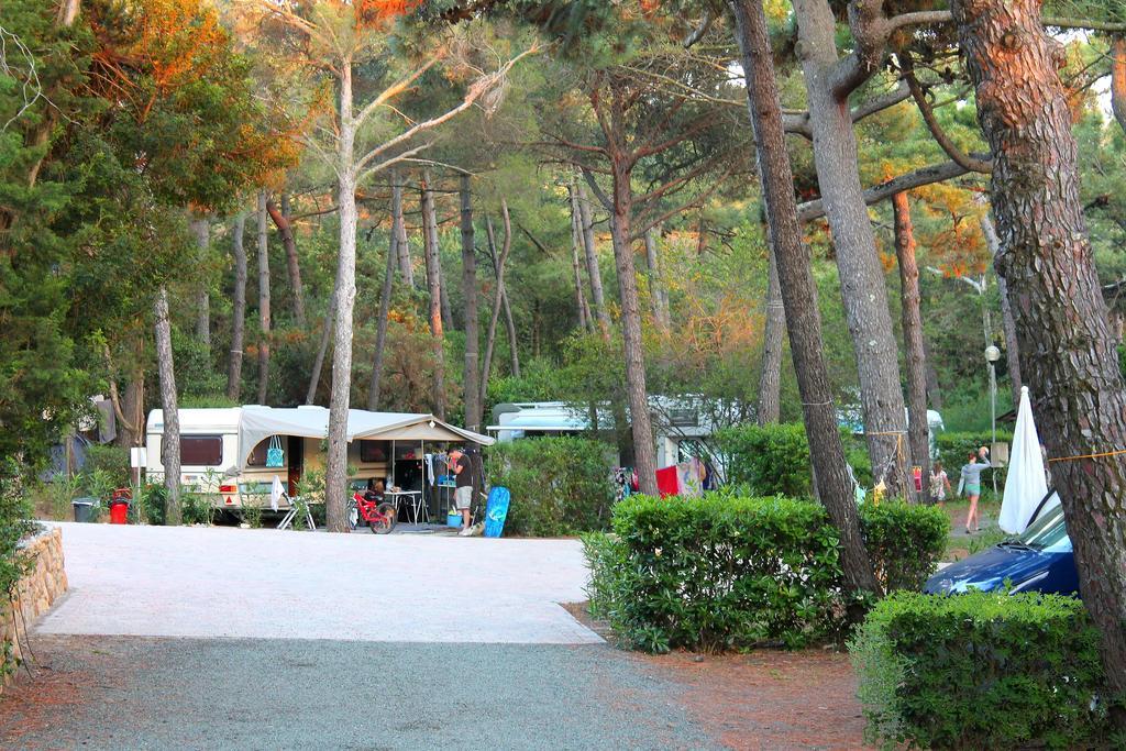 Camping Village Le Esperidi Marina Di Bibbona Extérieur photo