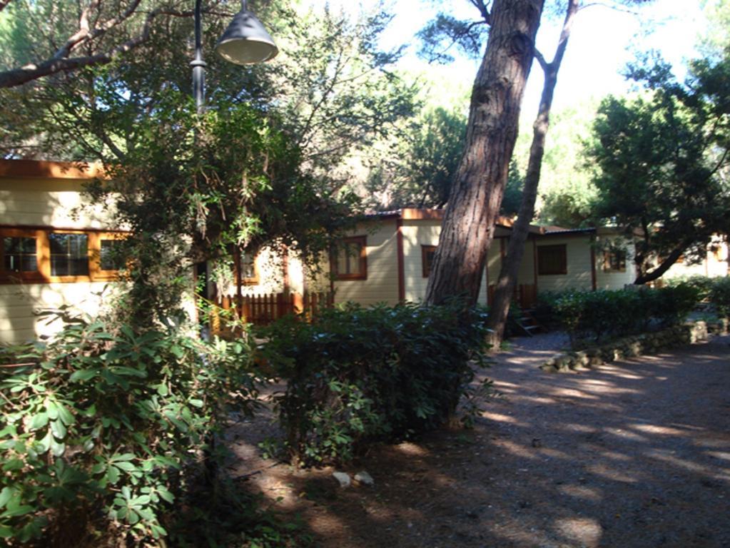 Camping Village Le Esperidi Marina Di Bibbona Extérieur photo